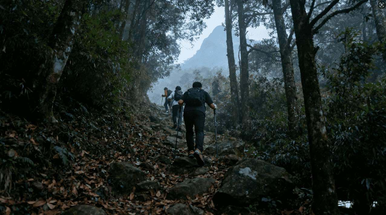 上推特的加速器下载不了，原因及解决方法详解